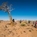 NAM KAR Gondwana 2016NOV19 NaturePark 011 : 2016 - African Adventures, Karas, Namibia, Southern, Africa, Gondwana Nature Park, 2016, November